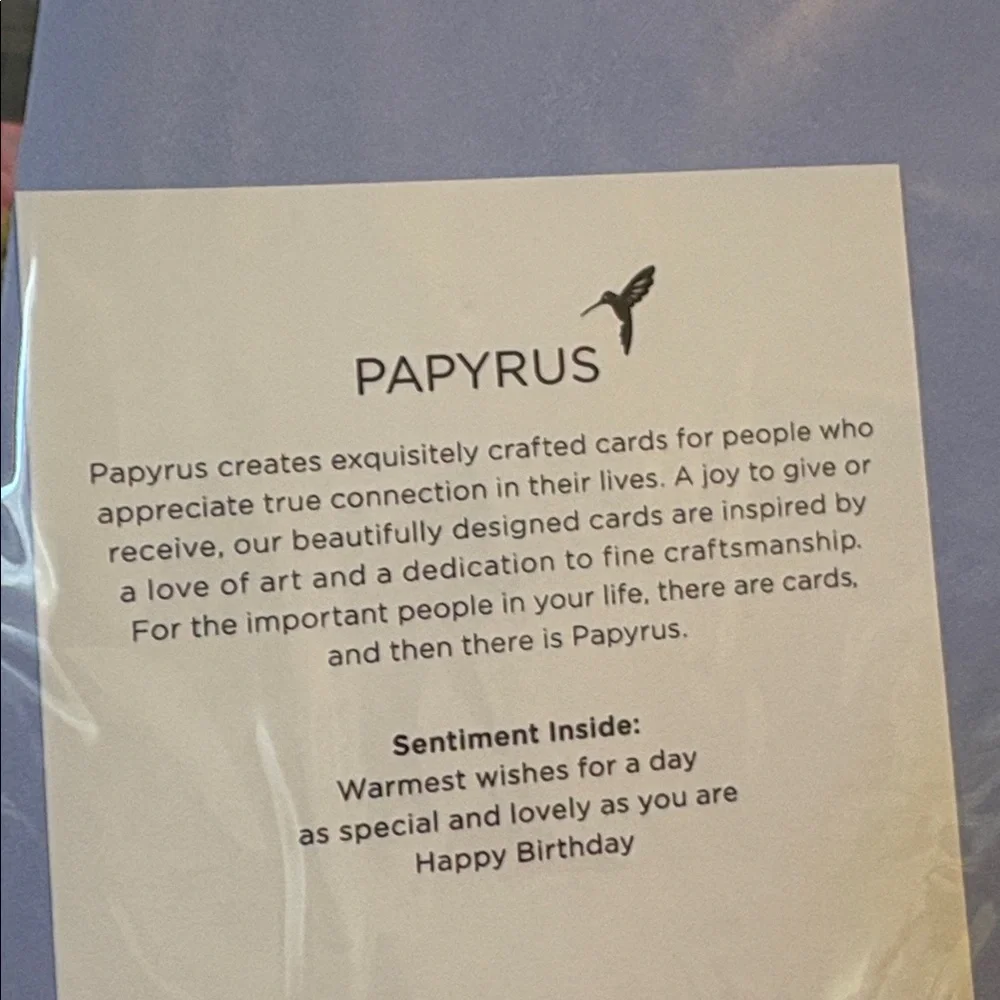 🆕Papyrus “Birthday Wishes” Birthday Greeting Card
